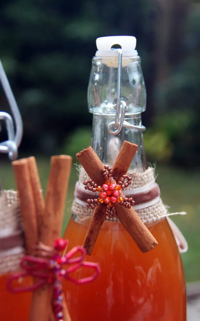 kombucha bottles & decorated ribbon