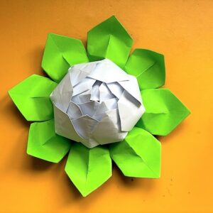 lotus origami